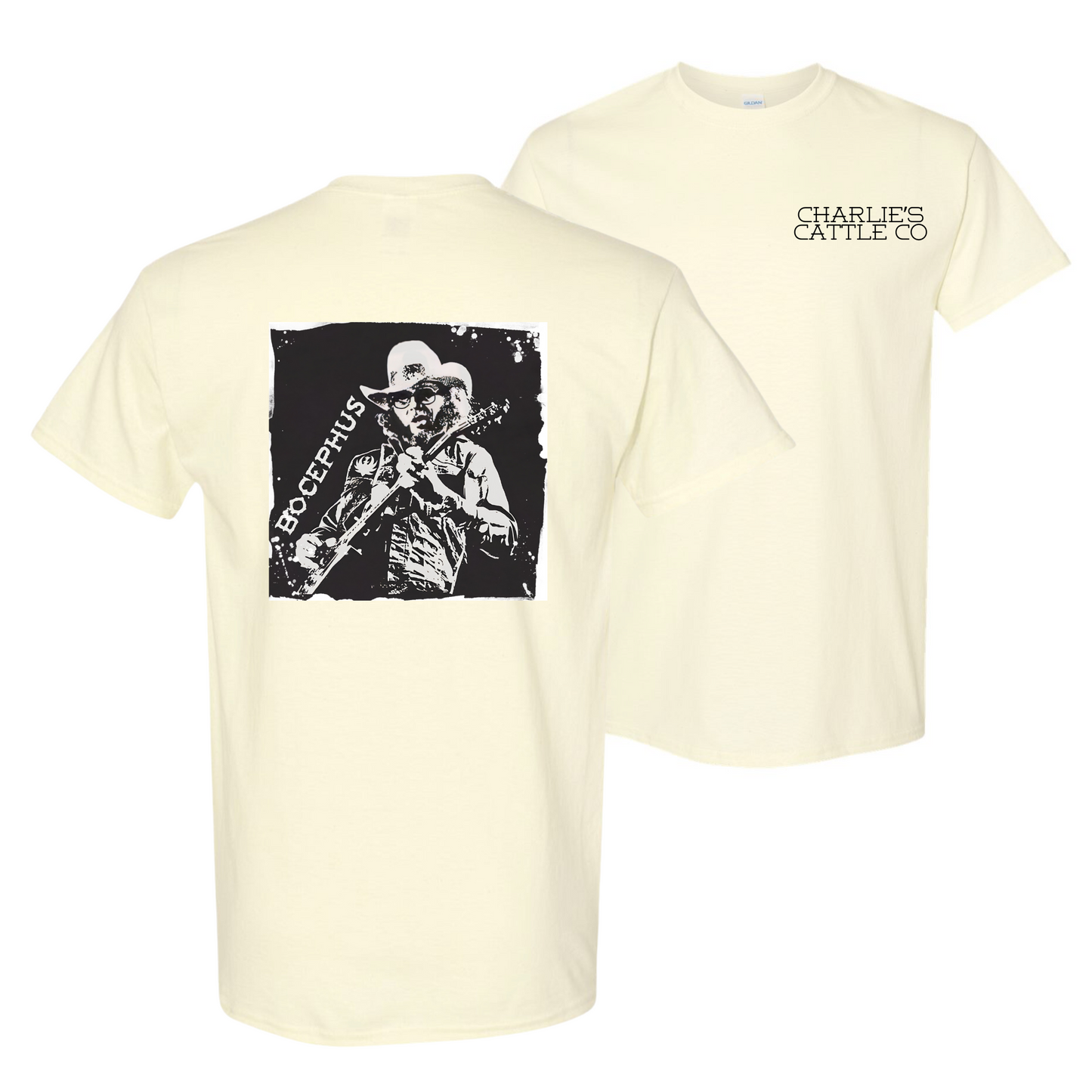 Hank Willams Jr. T-Shirt