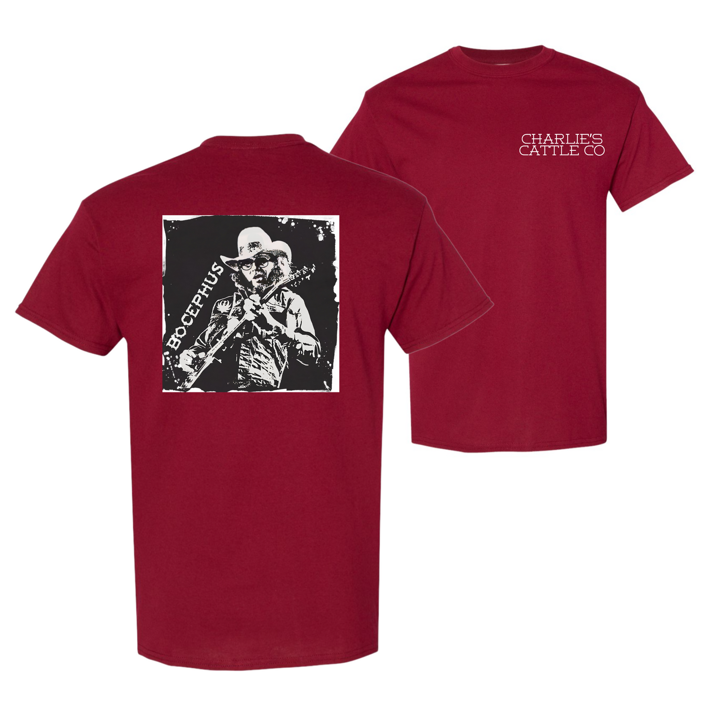 Hank Willams Jr. T-Shirt