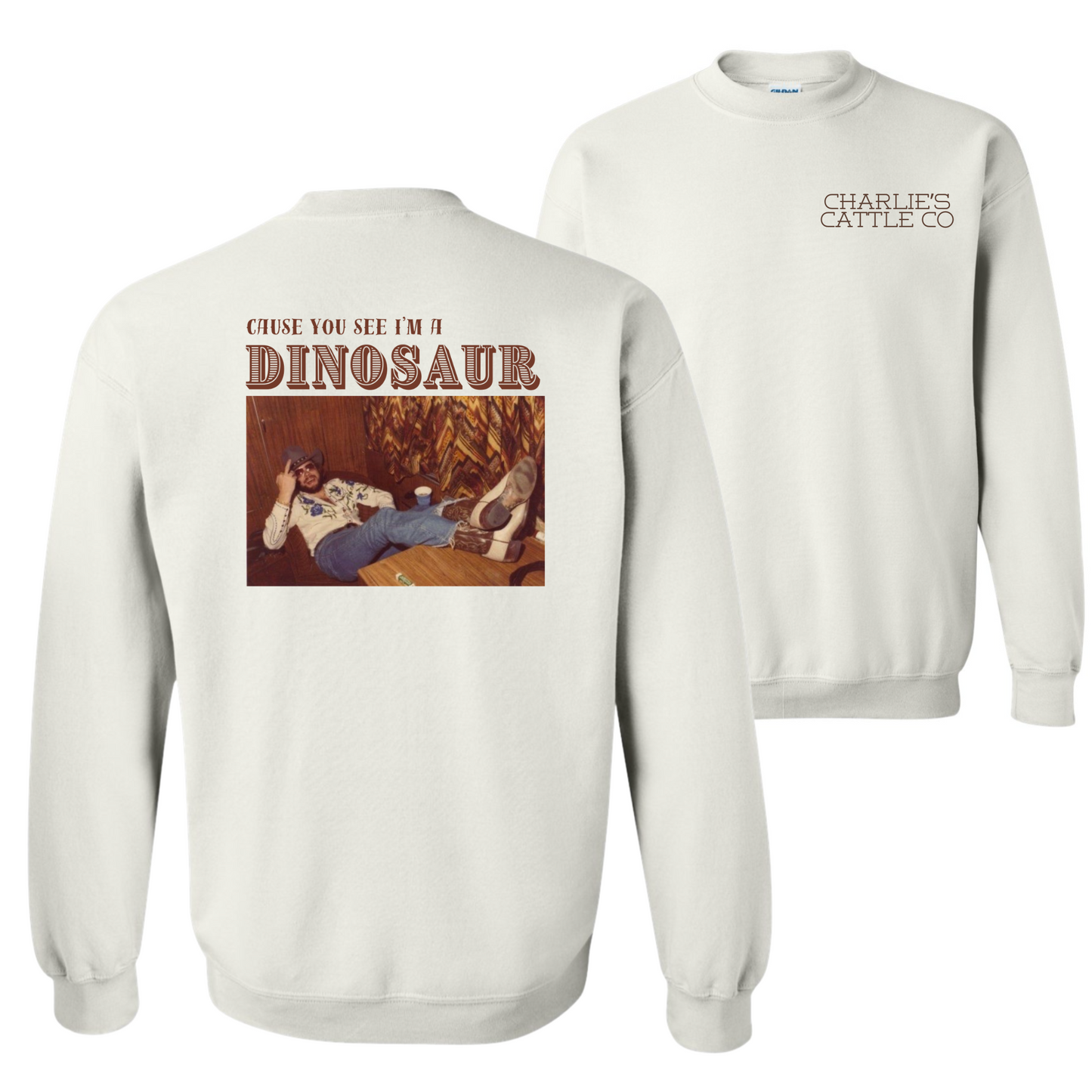 Hank Jr. Dinosaur Sweatshirt