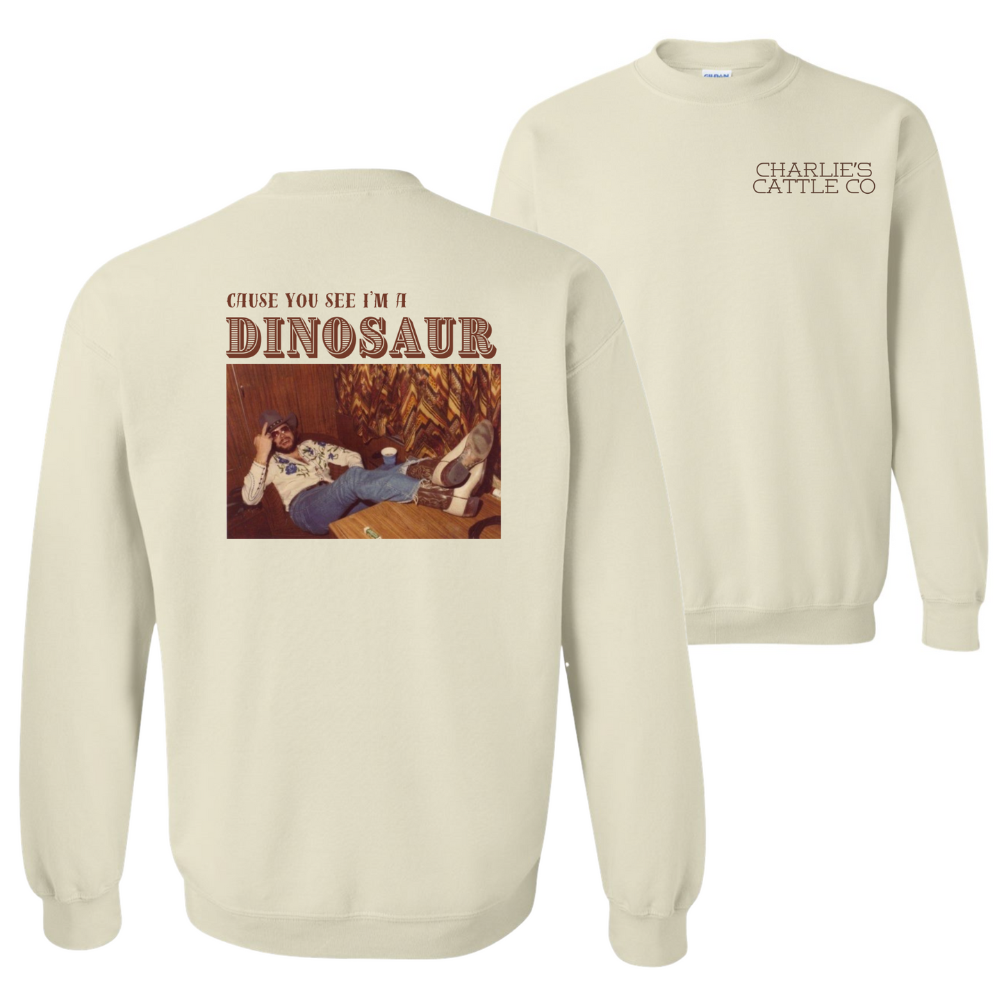 Hank Jr. Dinosaur Sweatshirt