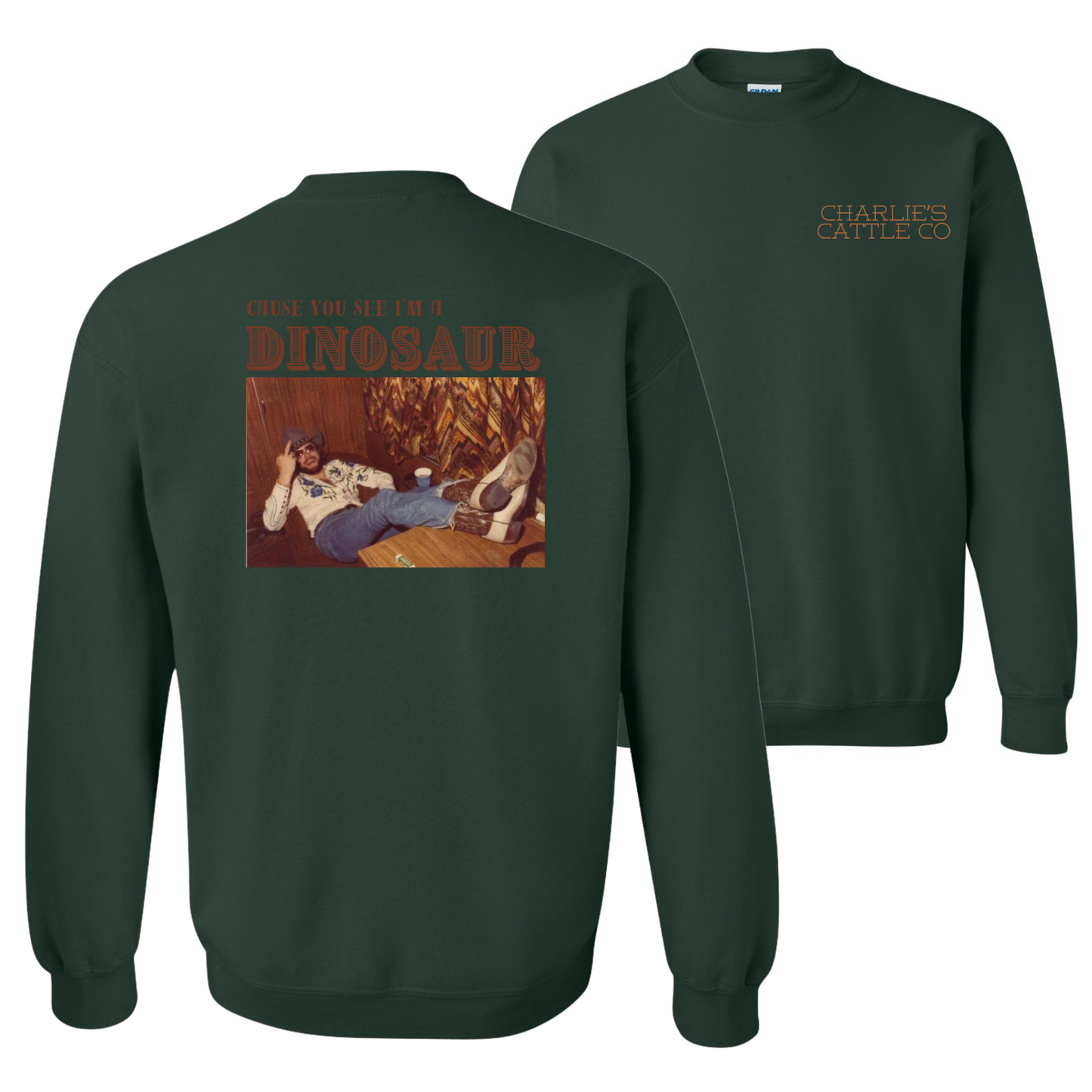 Hank Jr. Dinosaur Sweatshirt