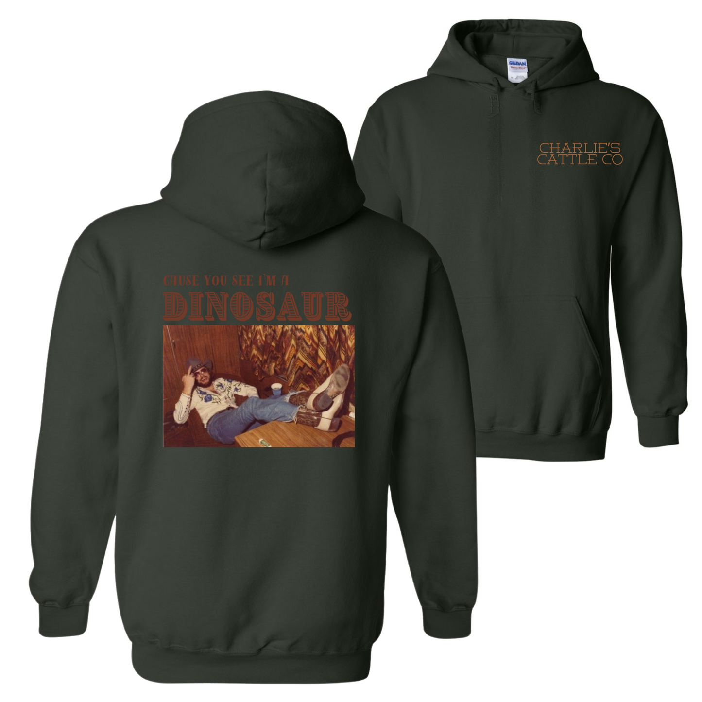 Hank Jr. Dinosaur Hoodie