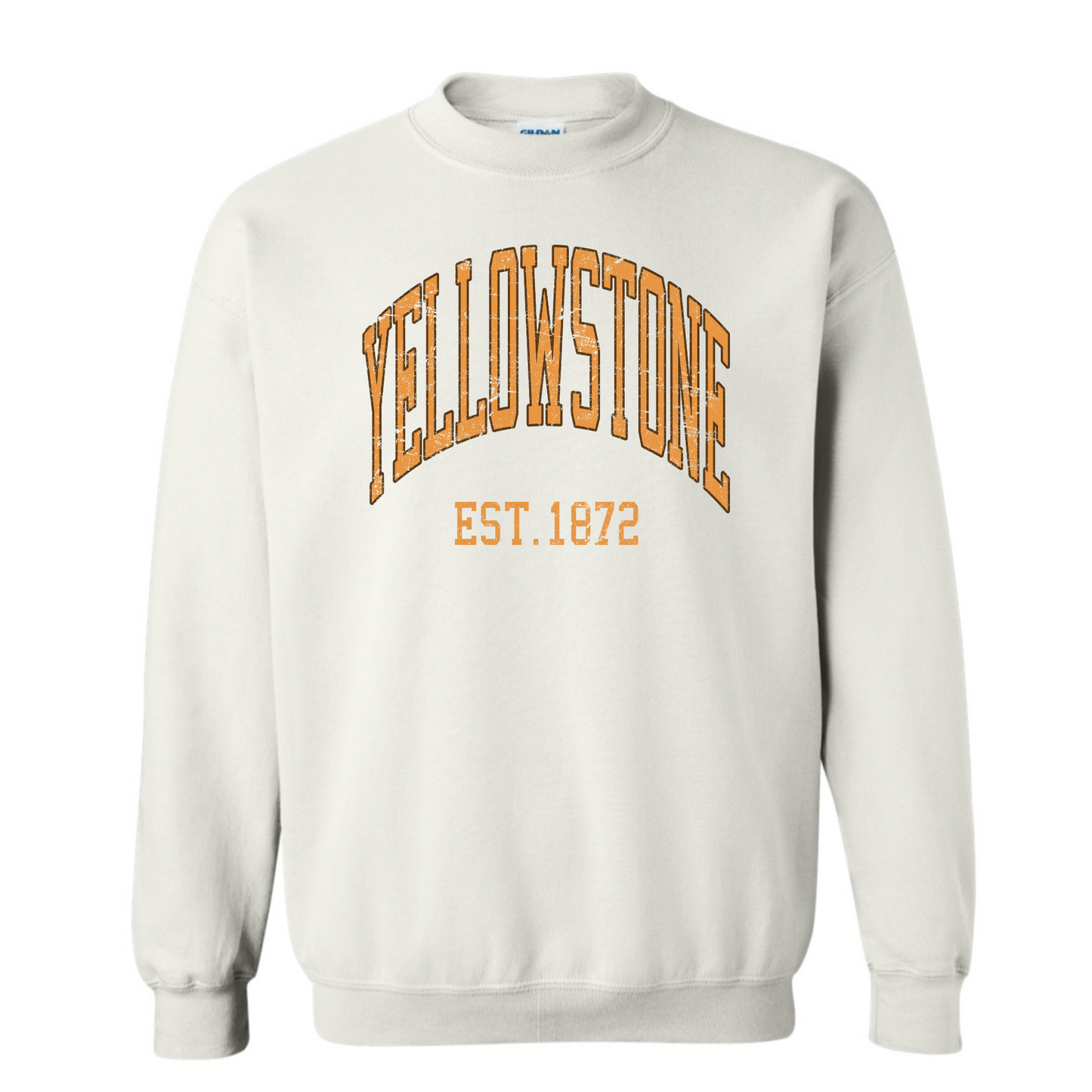 Vintage Y-Stone Sweatshirt