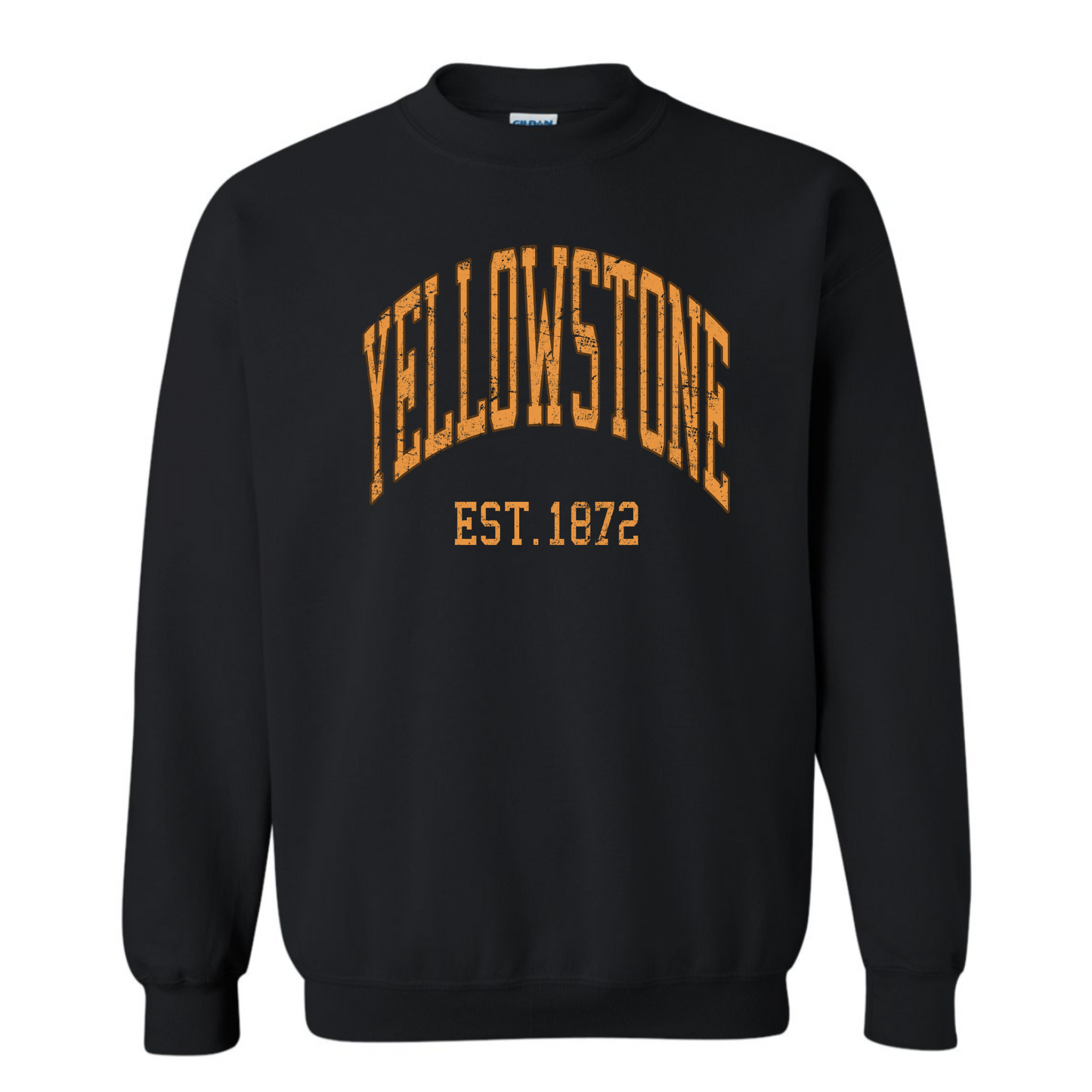 Vintage Y-Stone Sweatshirt