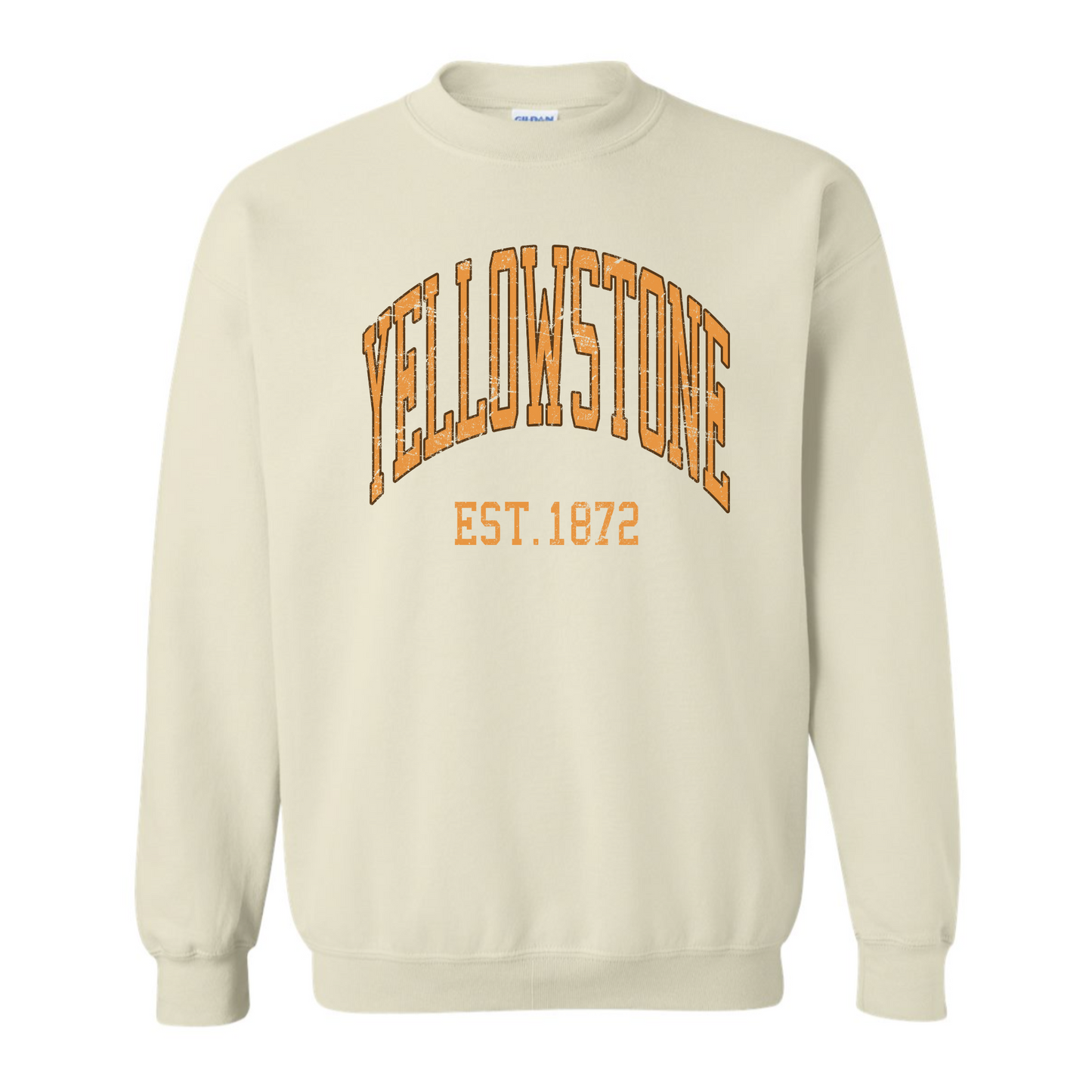 Vintage Y-Stone Sweatshirt