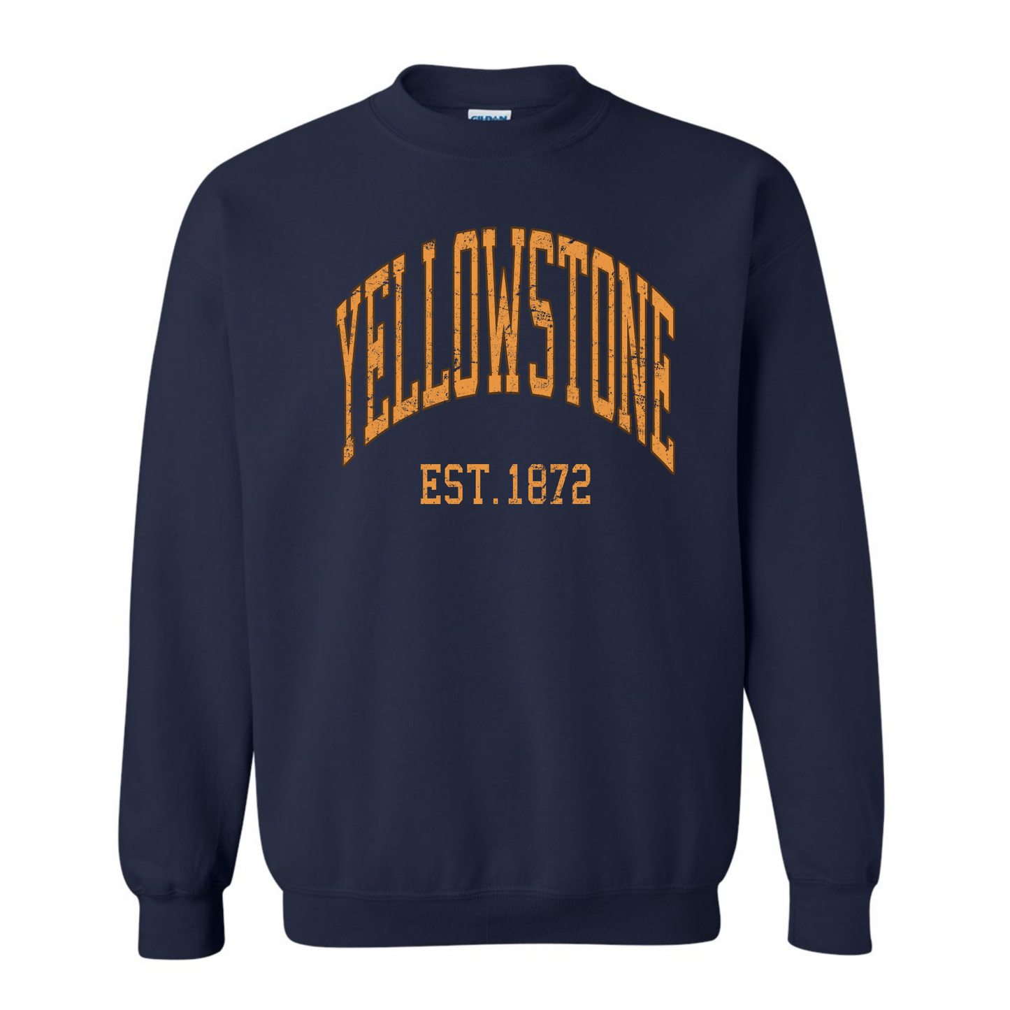 Vintage Y-Stone Sweatshirt