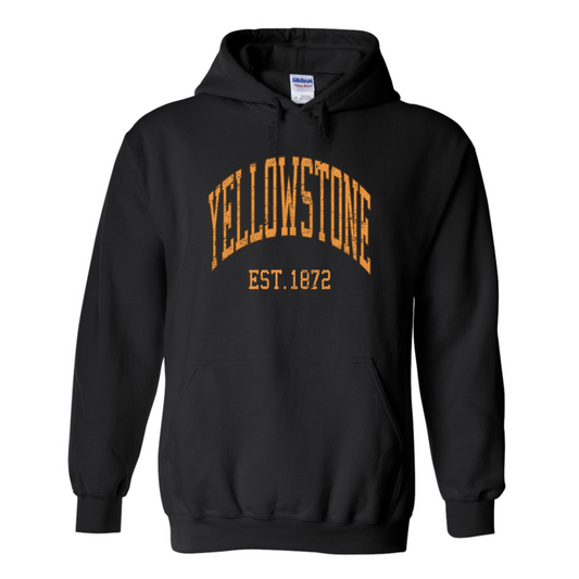 Vintage Y-Stone Hoodie